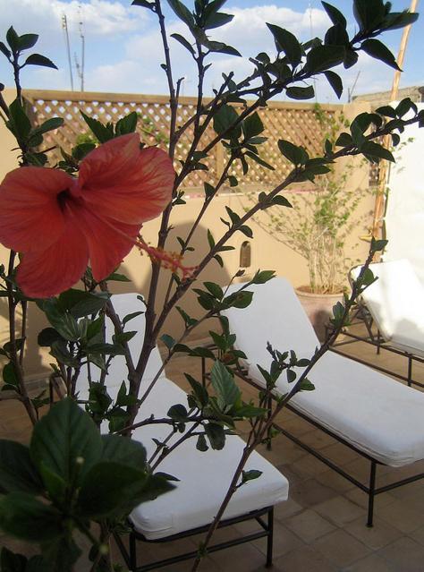 Riad Elixir Marrakesh Eksteriør billede