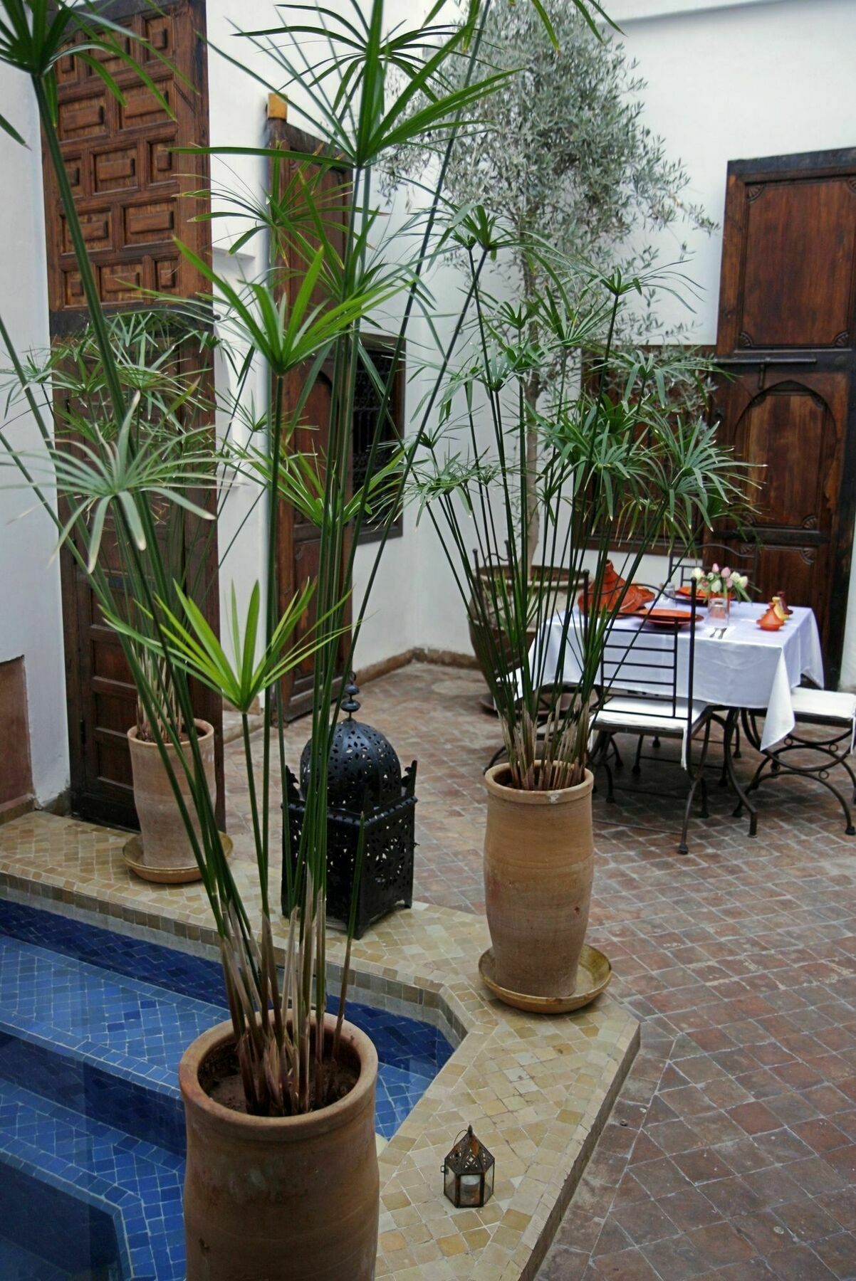 Riad Elixir Marrakesh Eksteriør billede